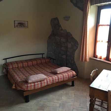 Agriturismo Terre Di Musignano Canino Exteriér fotografie