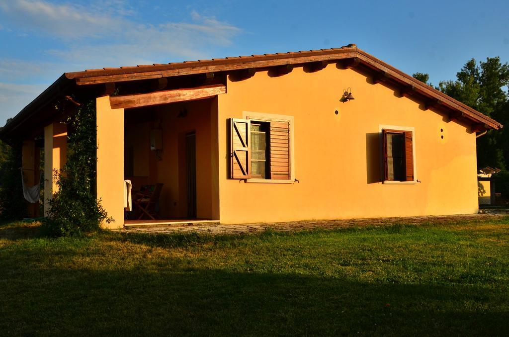 Agriturismo Terre Di Musignano Canino Pokoj fotografie