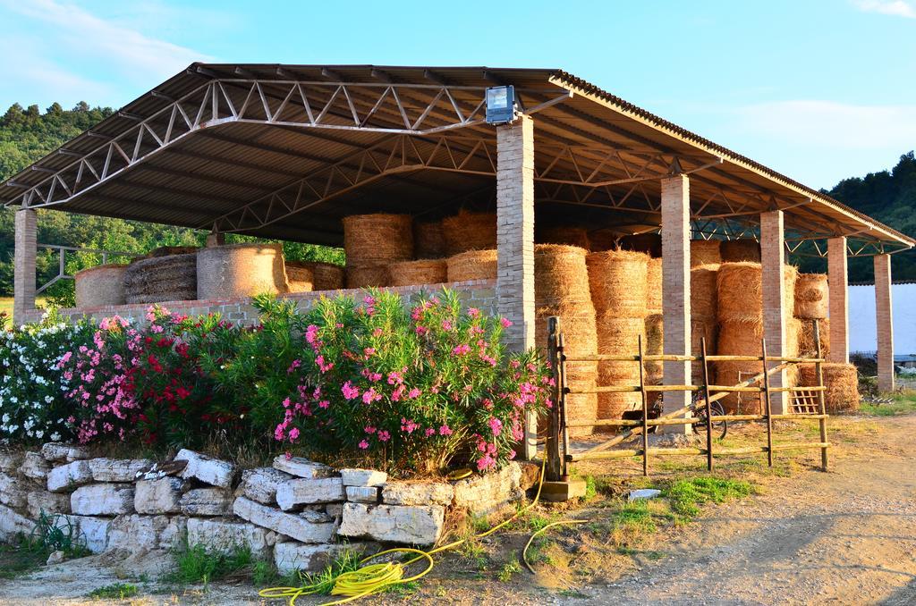 Agriturismo Terre Di Musignano Canino Pokoj fotografie