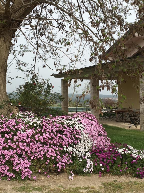 Agriturismo Terre Di Musignano Canino Exteriér fotografie